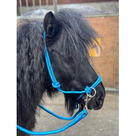 Rope headcollar with Reins for use of Bitless Horse Riding Full to Mini Shet 5 Colours (Sky, Cob)