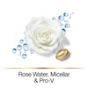 Pantene Pro-V Hair Biology Cleaner & Rebuild Conditioner 160 ml