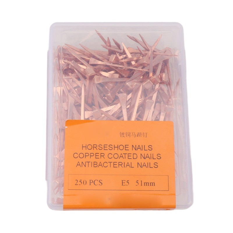 250Pcs Horseshoe Nails Copper Plated Rustproof Equestrian Riding Equipment Pet