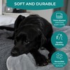 100% Waterproof Dog Blankets for Small & Medium Dogs –