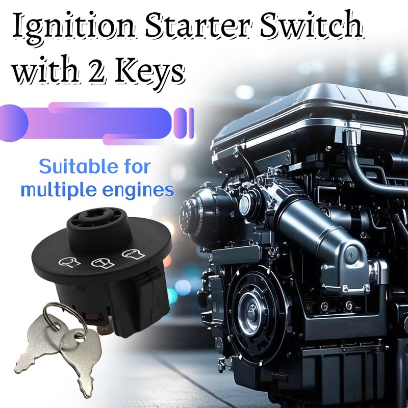 Youqsm Ignition Starter Switch with 2 Keys 25 099 30-S