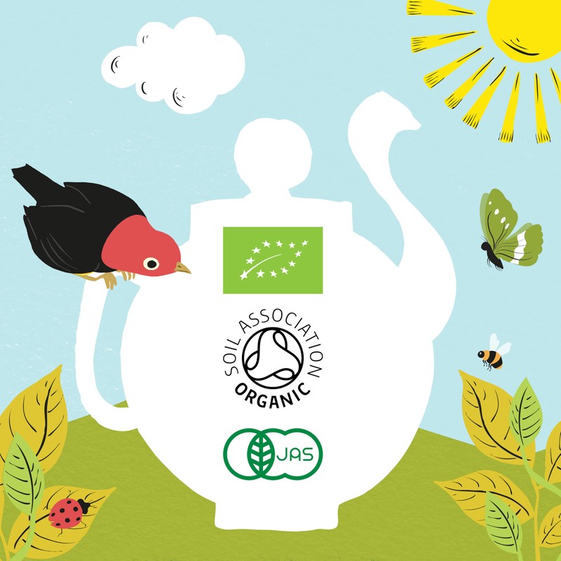 Clipper Tea Organic Lemon & Ginger 20 Tea Bags, Herbal