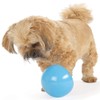 Outward Hound Outward Hound by Planet Dog Snoop Interactive Treat