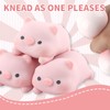 Thoquene Pack of 4 Stress Antistress Pig Creative Vutschwein