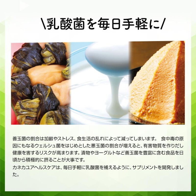 わたしのチカラ FLORA YELL 正規品 60粒 約30日分 サプリメント ラブレ菌 乳酸菌 植物性