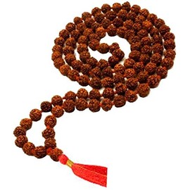 TEJVIJ AND SONS 10 mm rudraksha japa mala 108 beads original rudraksha certified mala original rudraksha mala for men rudraksha mala for women jap mala 108 beads rudraksha jap mala 108 +1 bead.