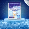 SOFY Cooling Fresh Comfort Sleep Panty - Large 16P