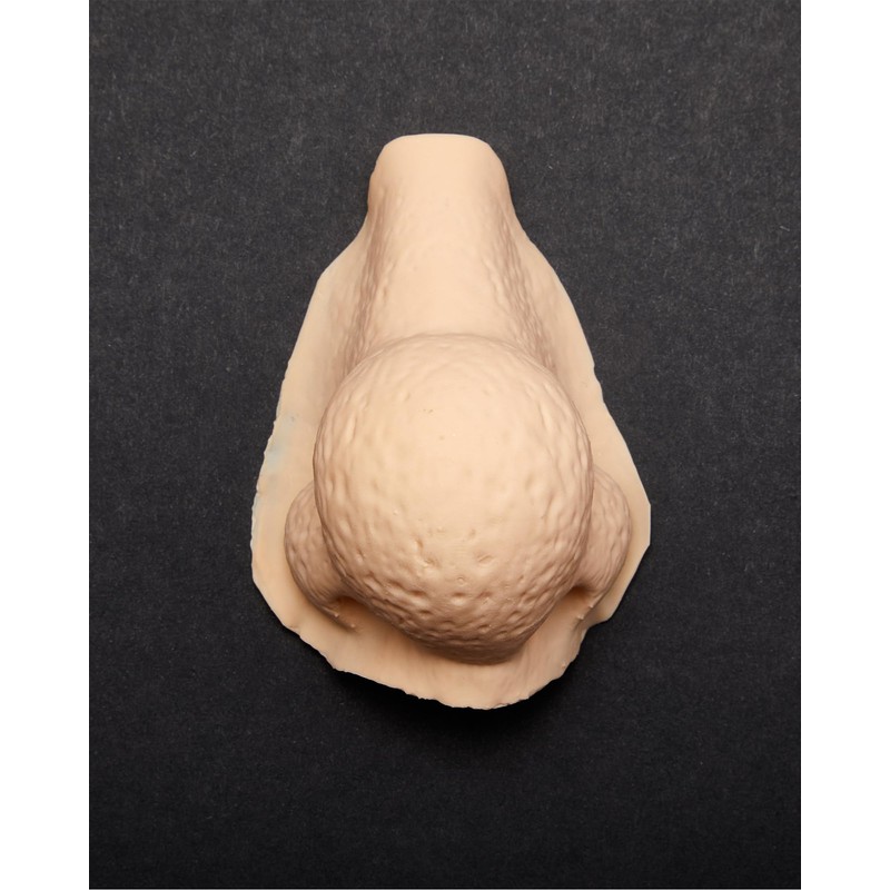 Libima Halloween Prosthetic Nose Ogre Costume Latex Fake Nose Round