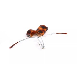 TurtleSpecs FOLDING READING GLASSES W/ CASE, +2.50, TURTLE SPECS