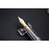 czxwyst 659 Double Nibs Fountain Pen (Transparent with Golden Clip)