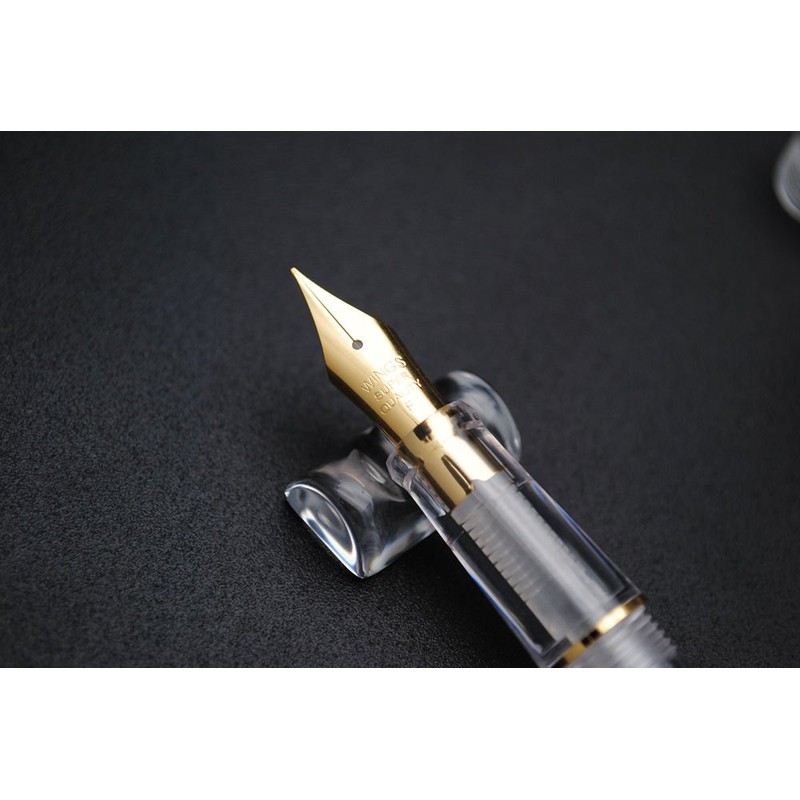 czxwyst 659 Double Nibs Fountain Pen (Transparent with Golden Clip)