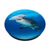 Hammer Shark in Blue Sea Ocean