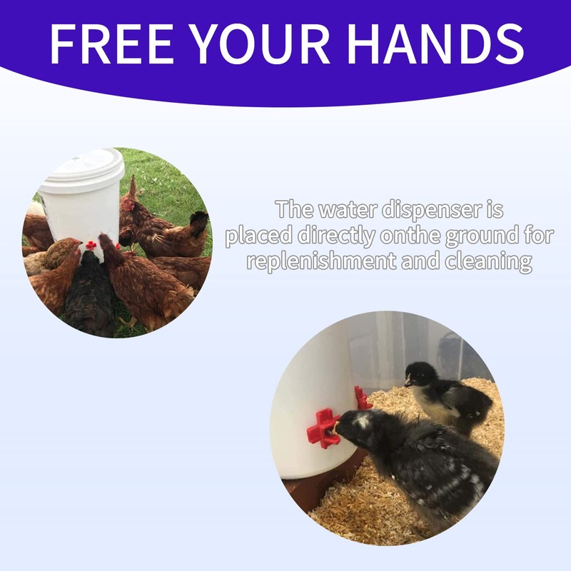 6Pack Horizontal Automatic Poultry Nipples - Easy Install Chicken Quail