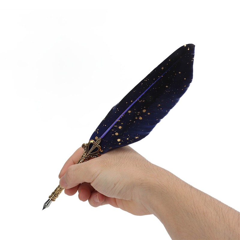 Quill Pen Set Exquisite Retro Smoothing Writing Feather Pen Caligraphy