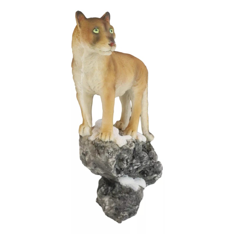 Mountain Lion Cougar Standing On Edge of Snow Capped Rock