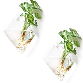 Kingbuy Wall Planter for Indoor Plant Pathos Hydroponic Succulent Hanging Terrarium Glass Vase Air Plant Holder Diamond Home Office Garden Decor, 2 Set