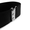BlackButterfly 3 Inch Elastic Waist Clasp Belt (Black, 4XL)