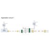 Greensen RGBW LED Amplifier, 4 Channels, 288 W, 12 V/24