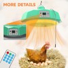 Chick Brooder Heating Plate,Brooder Heater For Chicks,500W Poultry Heat Lamp