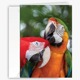 Whimsical Colorful Parrot Greeting Card – Blank Inside for all occasions – Unique Photography Card for Macaw, Animal, Nature & Bird Lovers for birthdays, anniversaries, love, thinking of you - larger size 5x7 Inch