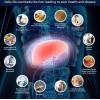Limpieza del hígado apoyo de salud para eliminar hierba limpieza