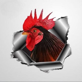 Rooster Torn Metal Car Stickers 3D Window Decal Bumper Die Cut Vinyl Decal Funny Laptop Stickers Pet Gift,18 Inch