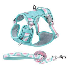 Arnés para Perro - Arnés Pechera para Perros, Antidesgarro, Ergonómico, Reflectante y Transpirable (Verde con Fruta, S)