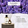 PRISTINE Lavender Dream Reed Diffuser for Home | Fresh Lavender