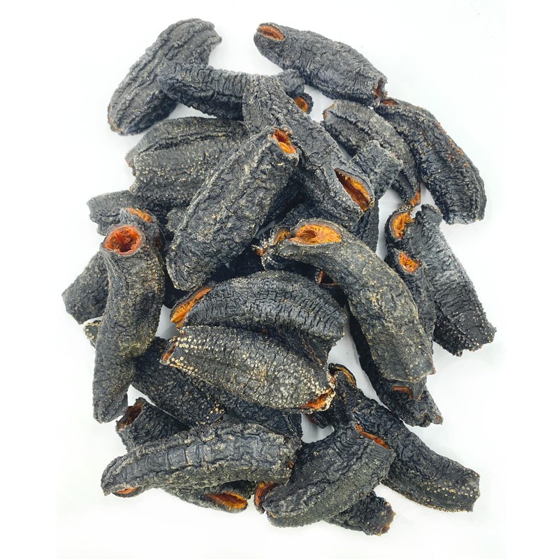 Dried Sea Cucumber Premium Deep Sea Atlantic Canada Wild Caught