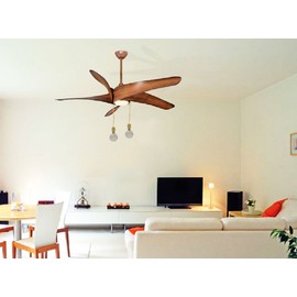 Royal Designs Celling Fan Pull Chain Beaded Ball Extension Chains with Decorative Medium Clear Crystal, Polished Brass, Set of 2