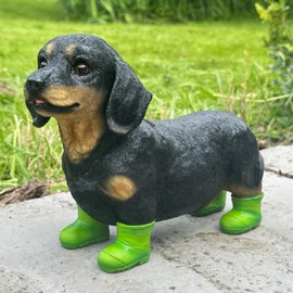 Super cute Dogs and Farm Animals in Wellington Boots figurines novelty home or garden decorations or collectables, GIFT BOXED (DACHSHUND in GREEN Wellingtons)
