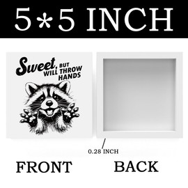 Funny Raccoon Decor Racoon Bathroom Decor Cute Raccoon Decor Raccoon Pet lovers Gift Racoon Gifts for Women Men Animal Gifts for Family Friends Wooden Box Sign for Home Office Shelf Desk Decor