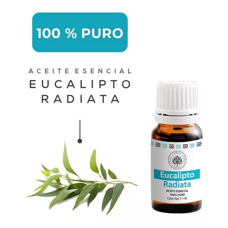 Árbora Eucalipto Aromaterapia Aceite Esencial 100% Puro Certificado