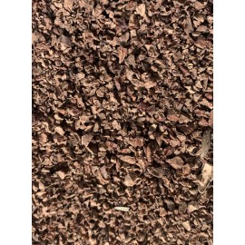 None Acorn Mulch 5 Pounds Lbs Bulk Ground UpCaps nuts And Seedlings White Oak Red Oak