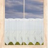 Modern Panel Curtain Samara with Ornamental Embroidery from Plauen Lace