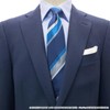 Florene Necktie, JoJo's Bizarre Adventure Part 3 Necktie, Polnareff JJN000005-009,
