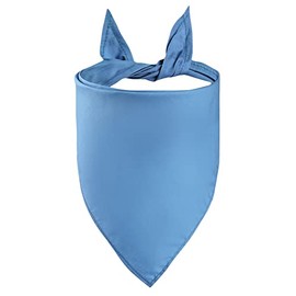 Petitebelle Plain Blue Dog Bandana - Large