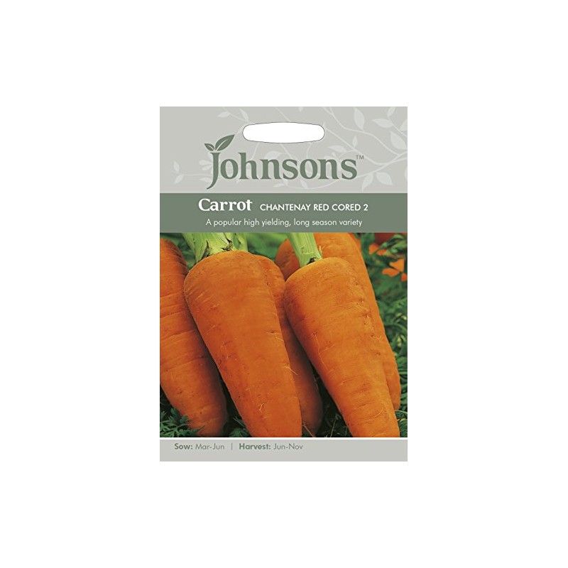 Johnsons 21445 Vegetable Seeds, Carrot Chantenay Red Cored 2