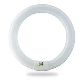 Bulbmaster FC12T9/CW 32 Watts 12 Inch Round T9 Fluorescent Circular Light Bulb, Cool White 4100K, FC12T9 2100 Lumens G10Q 4-Pin Base 32W Circline Ceiling Lights
