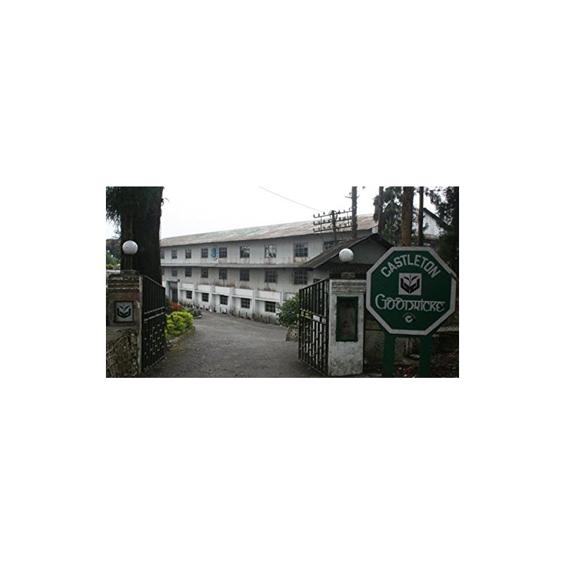 Darjeeling 2nd Flash Castleton Muscatel Exclusive Second Flush 3.5 oz