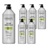 Kerasis Scalp Dandruff Care Fresh Cool Protein Shampoo Lemon Citrus Scent, 980ml, 6 pieces / 케라시스 두피 비듬케어 프레쉬쿨 단백질 샴푸 레몬시트러스향, 980ml, 6개