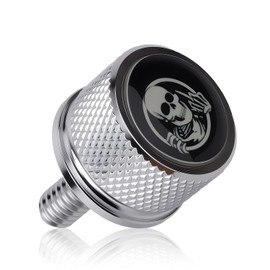 Motorcycle Rear Mudguard Seat Screw, Skull Design 1/4"-20 Thread Seat Screw Replacement for 1996-2025 Motorcycles (Silver)