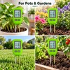 3-in-1 Digital Soil Tester – LCD Soil pH, Moisture &