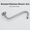 TRUSTMI 12 Inch S Shaped Shower Arm with Flange Heavy