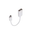 Lumenzi USB 2.0 Micro USB to A Female OTG Adapter