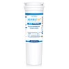 Fisher and Paykel Fridge Filter Replacement for 836848, 13040210, 67003662