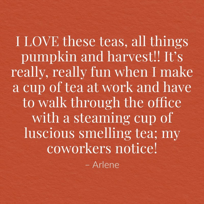 The Republic of Tea: Fall Harvest Tea Assortment Cube, 24