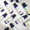 PROPOS'NATURE Hydrolat - Salvia certificato Biologico, 100 ml, 1 unità