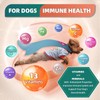 Dog Multivitamin with Glucosamine, Omega 3, Minerals, Probiotics and Enzymes,