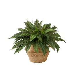 Nearly Natural 23in. Artificial Boston Fern Plant with Handmade Jute & Cotton Basket DIY KIT